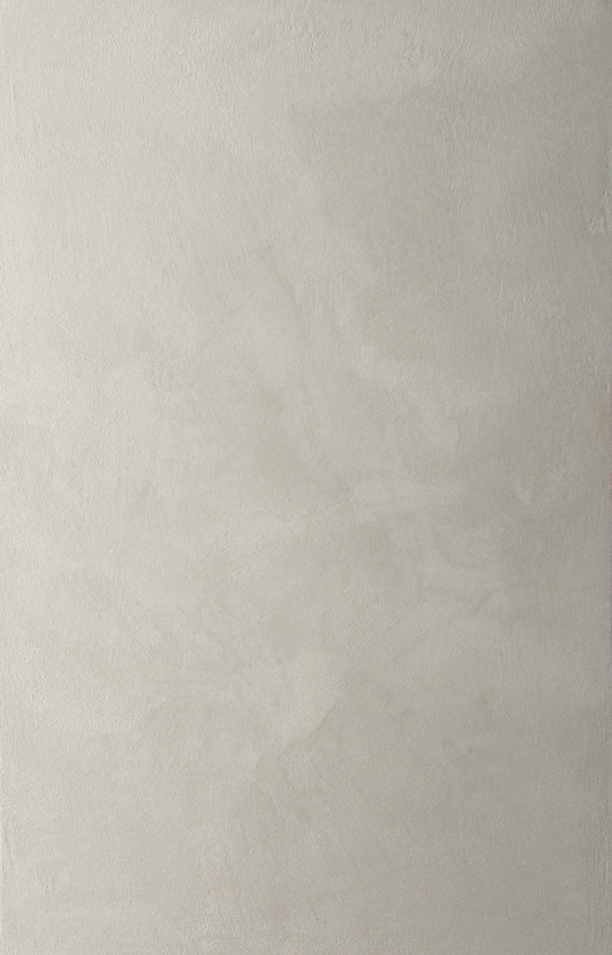 EFFETTO PLATINUM ARGENTO NEUTRO